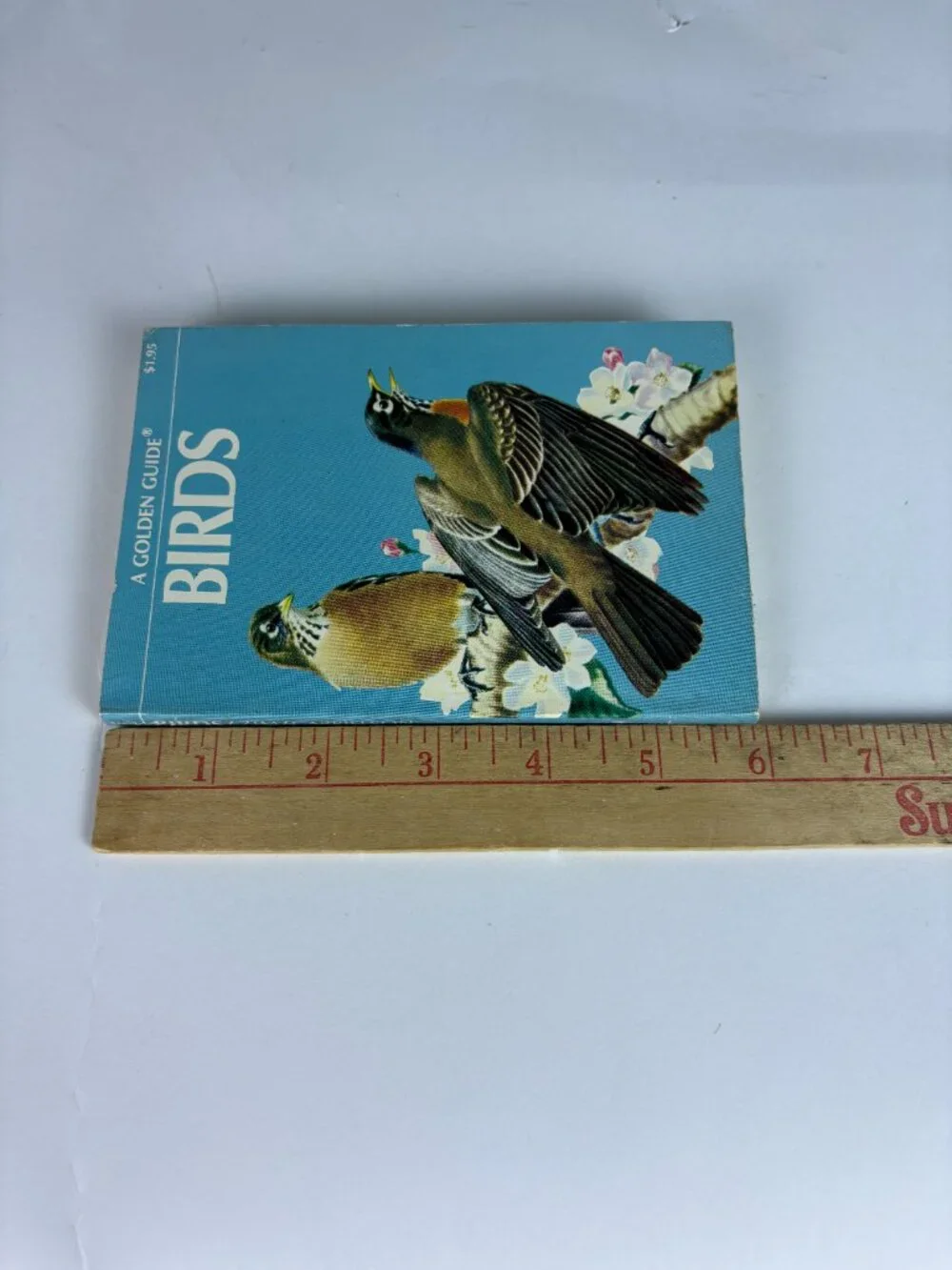 Vintage Golden Guide Birds Field Guide Book by Zim & Gabrielson | Pocket Bird Id
